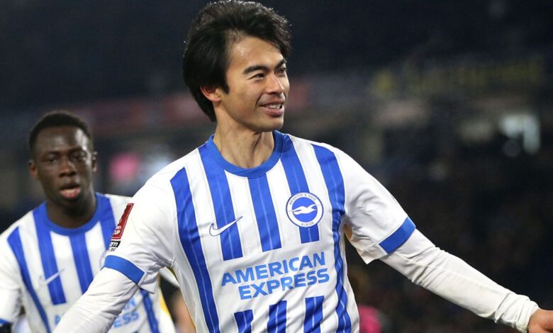 Jack Stern juga Marco Knoop tinggalkan Brighton & Hove Albion