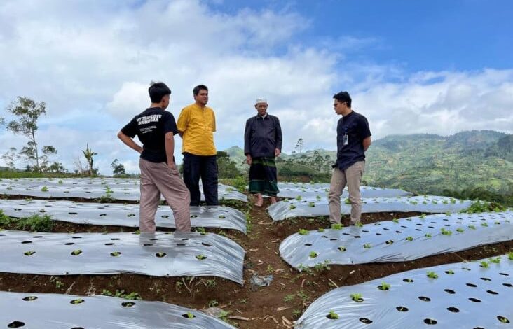 Terapkan Teknologi Smart Farming kemudian Jaringan Dunia Maya of Things (IoT) untuk Dongkrak Produktivitas Petani