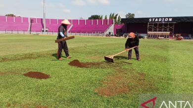Manajemen Persik: Perbaikan Stadion Brawijaya fokus top dress rumput