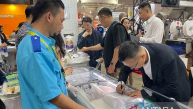 RI perkuat kerja sebanding sektor perikanan dengan Negeri Matahari Terbit